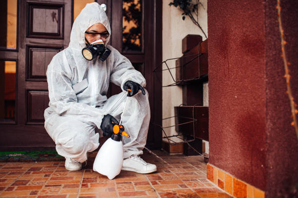 Reliable Cockroach Control contractor in San Anselmo, CA by Nex Pest Control