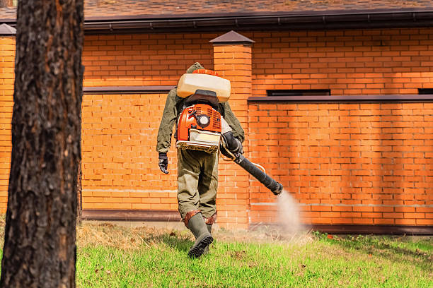 Trusted Bed Bug Control service in San Anselmo, CA - Nex Pest Control